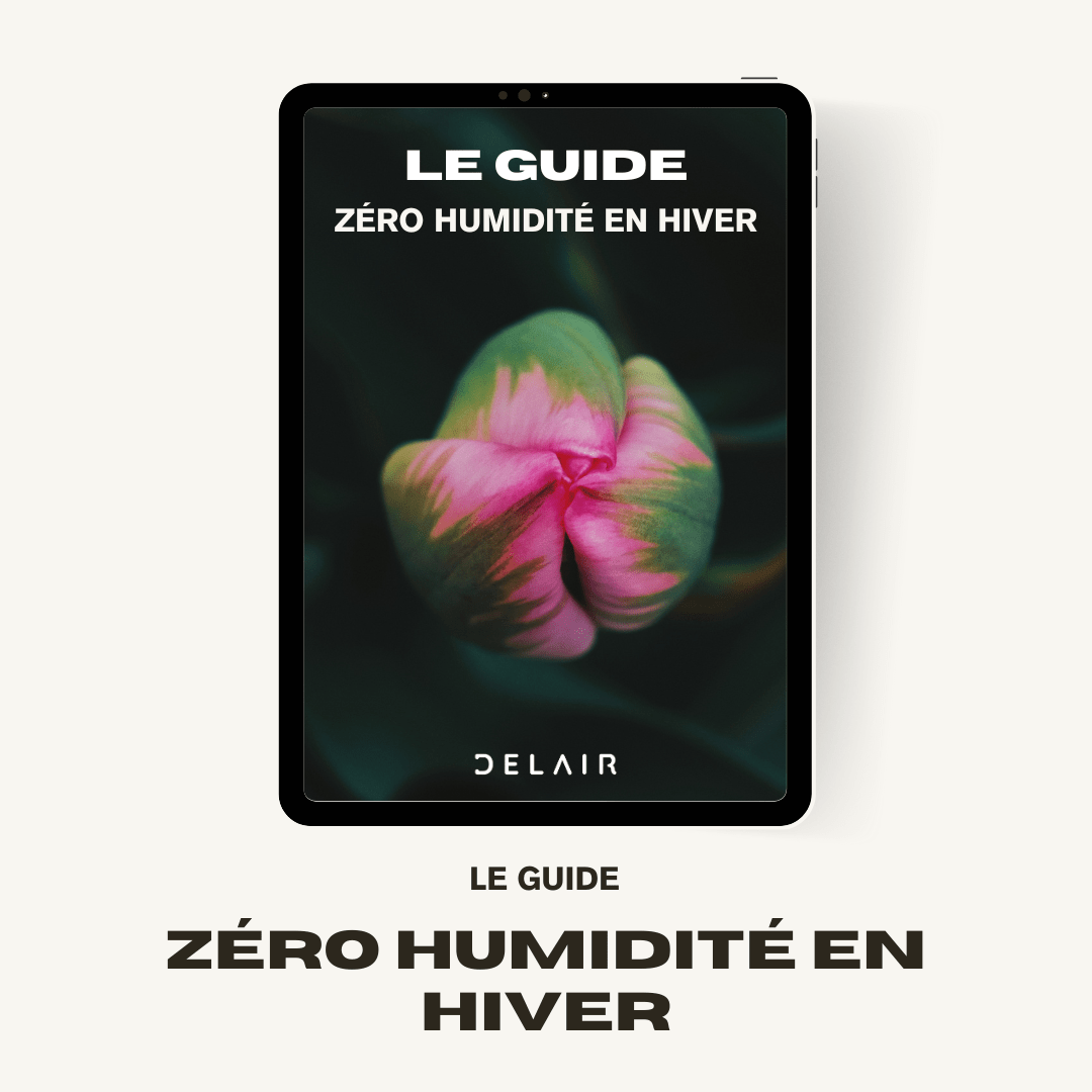 Le Guide "Zéro Humidité en Hiver" - Delair