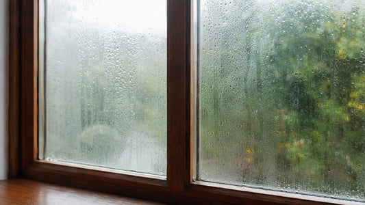 Condensation, infiltration ou remontée capillaire : identifiez votre type d'humidité avant d'agir - Delair