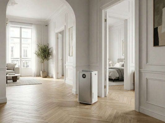 Guide d'achat déshumidificateur : comment bien choisir en 2026 - Delair