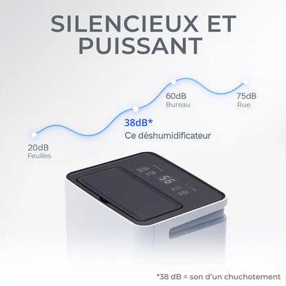 Déshumidificateur et Purificateur d'Air PRO - Cave et Maison
