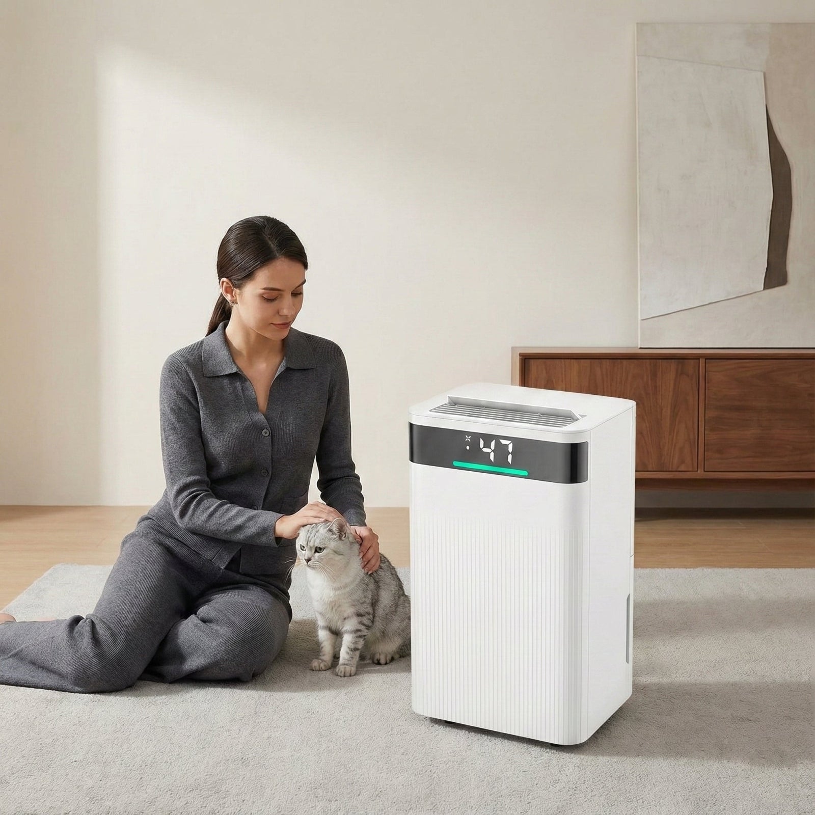 Déshumidificateur d'air 15-20m² 12L/jour avec écran LED Déshumidificateur d'air 15-20m² 12L/jour avec écran LED