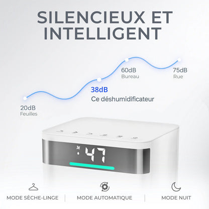 Déshumidificateur 2 en 1 WiFi Connecté - Déshumidificateur et Purificateur d'Air - Easy Dry - Delair
