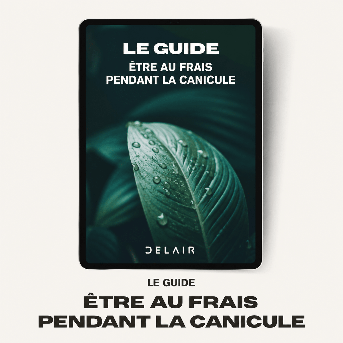 Le Guide "Être au frais pendant la canicule" - Delair