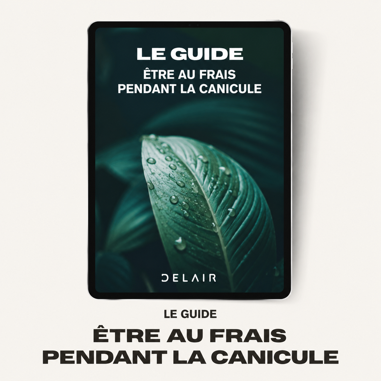 Le Guide "Être au frais pendant la canicule"