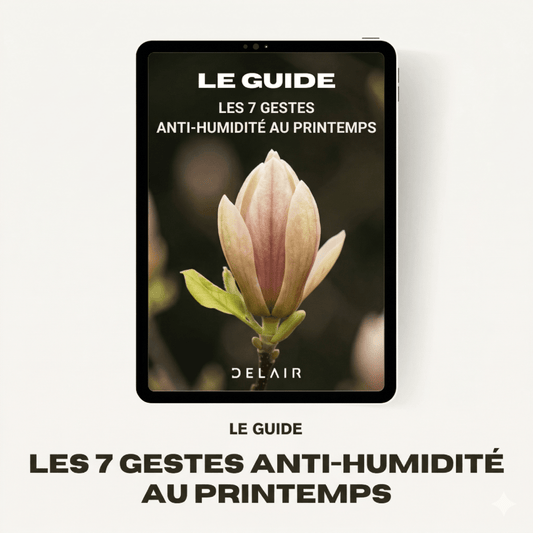 Le guide "Les 7 gestes anti - humidité au printemps" - Delair
