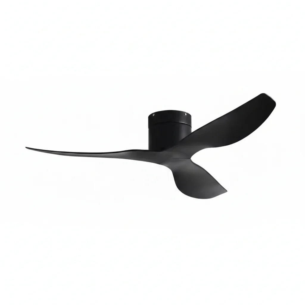 Ventilateur de Plafond Ultra-plat - Noir & ABS Noir VICO - Ventilateur de plafond - Delair