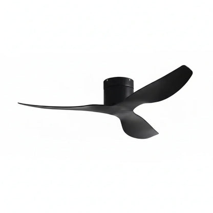 Ventilateur de Plafond Ultra-plat - Noir & ABS Noir VICO - Ventilateur de plafond - Delair